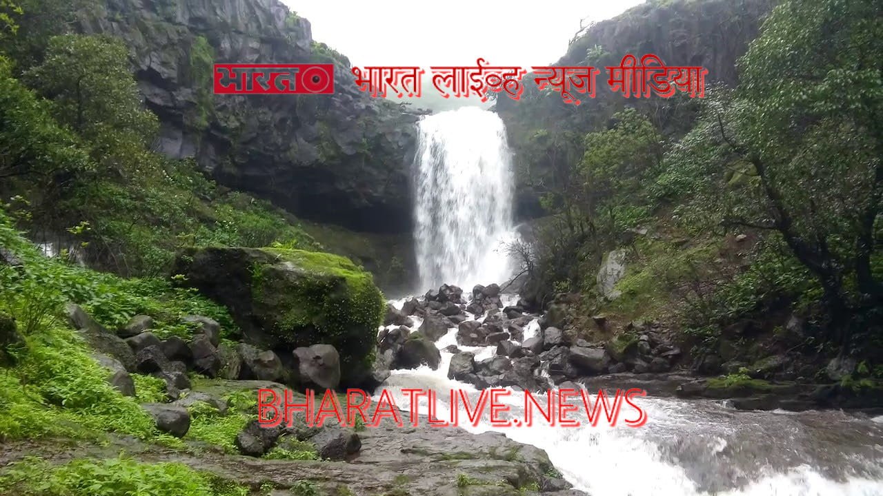 नयनरम्य निसर्गाच्या सानिध्यातील गाव "फोफसंडी" : भारत लाईव्ह न्यूज मीडिया !