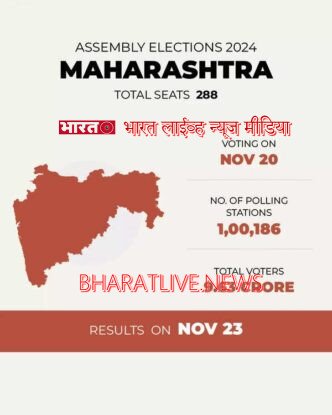 महाराष्ट्र विधानसभा निवडणूक २०२४ विशेष : मतदानासाठी १२ प्रकारचे ओळखपत्र पुरावे ग्राह्य धरणार ! निवडणूक आयोग