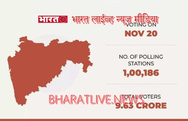 महाराष्ट्र विधानसभा निवडणूक २०२४ विशेष : मतदानासाठी १२ प्रकारचे ओळखपत्र पुरावे ग्राह्य धरणार ! निवडणूक आयोग