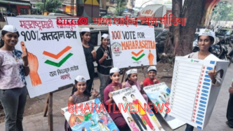 Maharashtra Election 2024 : महाराष्ट्र विधानसभा निवडणूक 2024: एक स्वप्नाळू मध्यमवर्ग आणि मतदानाची उपेक्षा